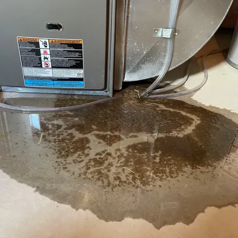 Appliance Leak Cleanup in Culver City, CA